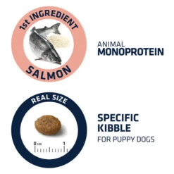 Affinity Advance Puppy Sensitive Lachs & Reis -Heimtierbedarf affinity advance puppy sensitive zalm en rijst 177883 0500 none