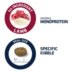 Affinity Advance Sensitive Medium-Maxi Lamm & Reis - Hund 4 Affinity Advance Sensitive Medium-Maxi Lamm & Reis - Hund -Heimtierbedarf affinity advance sensitive medium maxi lam en rijst hond 178006 0500 none