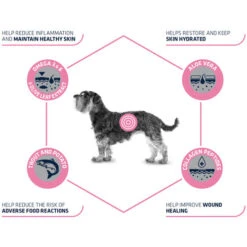 Affinity Advance Veterinary Diets Atopic Mini Hund 8 Affinity Advance Veterinary Diets Atopic Mini Hund -Heimtierbedarf affinity advance veterinary diets atopic mini hond 177538 0500 none