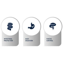 Affinity Advance Veterinary Diets Gastroenteric Hund -Heimtierbedarf affinity advance veterinary diets gastroenteric hond 177658 0500 none