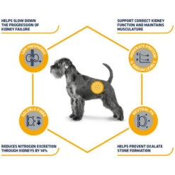 Affinity Advance Veterinary Diets Renal Hund 4 Affinity Advance Veterinary Diets Renal Hund -Heimtierbedarf affinity advance veterinary diets renal hond 177343 0500 none