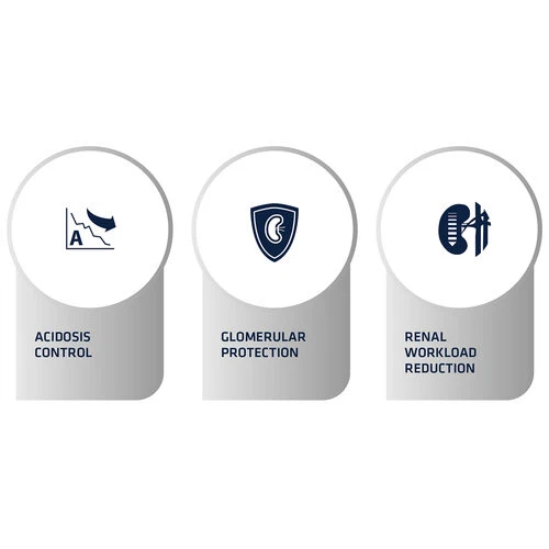 Affinity Advance Veterinary Diets Renal Hund Affinity Advance Veterinary Diets Renal Hund -Heimtierbedarf affinity advance veterinary diets renal hond 177346 0500 none