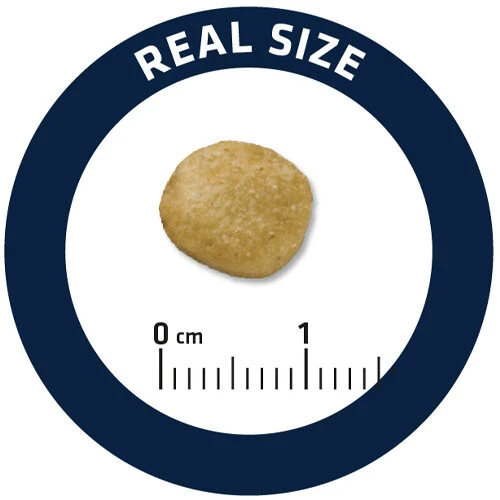 Affinity Advance Veterinary Diets Renal Hund Affinity Advance Veterinary Diets Renal Hund -Heimtierbedarf affinity advance veterinary diets renal hond 177349 0500 none