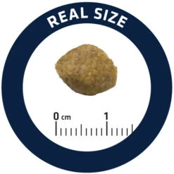 Affinity Advance Veterinary Diets Urinary Hund -Heimtierbedarf affinity advance veterinary diets urinary hond 177694 0500 none