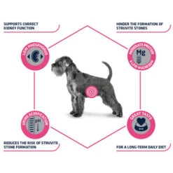 Affinity Advance Veterinary Diets Urinary Hund -Heimtierbedarf affinity advance veterinary diets urinary hond 177715 0500 none