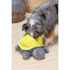 Beeztees Hide And Seek Schildo -Heimtierbedarf beeztees hide and seek schildo 221788 0500 none