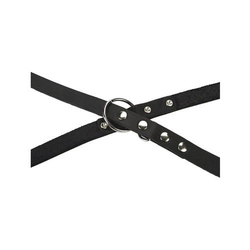 Beeztees Hundeleine Leder Beeztees Hundeleine Leder -Heimtierbedarf beeztees hondenriem leer 199292 0500 none