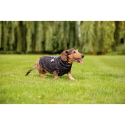 Beeztees Hundepullover Celia 4 Beeztees Hundepullover Celia -Heimtierbedarf beeztees hondentrui celia 219140 0500 none