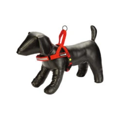 Beeztees Parinca Premium Comfort Hundegeschirr -Heimtierbedarf beeztees parinca premium comfort hondentuig 198551 0500 none