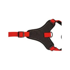 Beeztees Parinca Premium Y-Geschirr 4 Beeztees Parinca Premium Y-Geschirr -Heimtierbedarf beeztees parinca premium y tuig 199589 0500 none