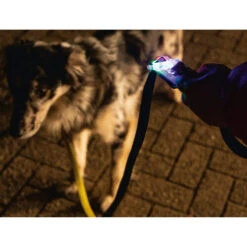 Beeztees Safety Gear Parinca Premium Hundeleine 6 Beeztees Safety Gear Parinca Premium Hundeleine -Heimtierbedarf beeztees safety gear parinca premium hondenriem 215036 0500 none