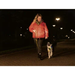 Beeztees Safety Gear Parinca Premium Hundeleine 9 Beeztees Safety Gear Parinca Premium Hundeleine -Heimtierbedarf beeztees safety gear parinca premium hondenriem 215042 0500 none