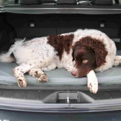 Bia Original Matratze Grau -Heimtierbedarf bia original matras grijs 164077 0500 none