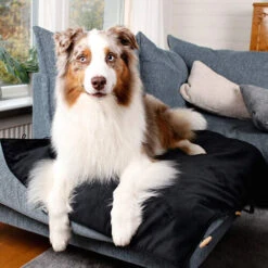 Bia Travel Outdoor Matratze -Heimtierbedarf bia travel outdoor matras 191348 0500 none