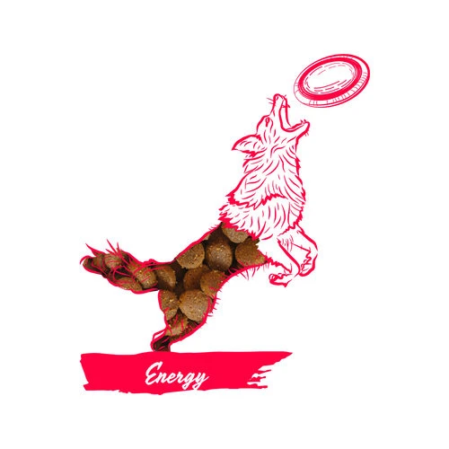 Calibra Dog Expert Nutrition Energy Calibra Dog Expert Nutrition Energy -Heimtierbedarf