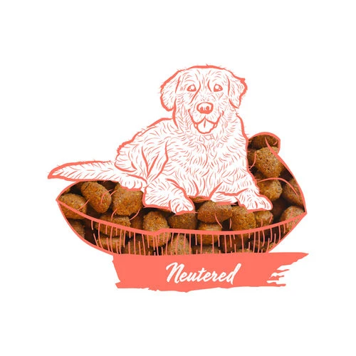 Calibra Dog Expert Nutrition Neutered Calibra Dog Expert Nutrition Neutered -Heimtierbedarf