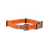 Carhartt Tradesman Hundehalsband 1 Carhartt Tradesman Hundehalsband -Heimtierbedarf carhartt tradesman dog collar 186577 0500 none