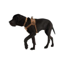 Carhartt Work Dog Harness 5 Carhartt Work Dog Harness -Heimtierbedarf carhartt work dog harness 186805 0500 none