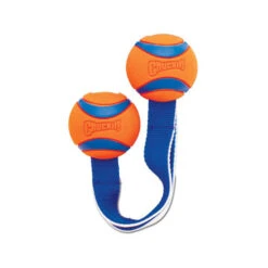 Chuckit! Ultra Duo Tug 3 Chuckit! Ultra Duo Tug -Heimtierbedarf chuckit ultra duo tug 122951 0500 none