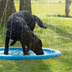 CoolPets Splash Pool Water Sprinkler -Heimtierbedarf coolpets splash pool sproeier 174286 0500 none