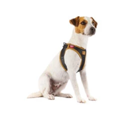 Curli Vegan Apple Leather Geschirr 4 Curli Vegan Apple Leather Geschirr -Heimtierbedarf curli harnas vegan appelleer 216631 0500 none