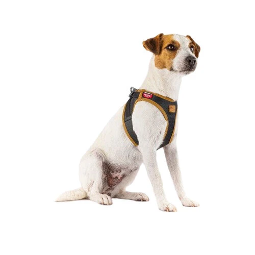 Curli Vegan Apple Leather Geschirr Curli Vegan Apple Leather Geschirr -Heimtierbedarf curli harnas vegan appelleer 216631 0500 none