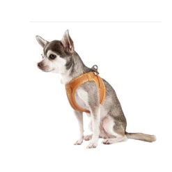 Curli Vegan Apple Leather Geschirr 3 Curli Vegan Apple Leather Geschirr -Heimtierbedarf curli harnas vegan appelleer 216633 0500 none