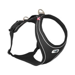 Curli Belka Comfort Harness 3 Curli Belka Comfort Harness -Heimtierbedarf curli belka comfort harness 136345 0500 none