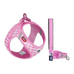 Curli Vest Harness Air-Mesh & Leash Puppy Set -Heimtierbedarf curli vest harness air mesh leash puppy set 221145 0500 none