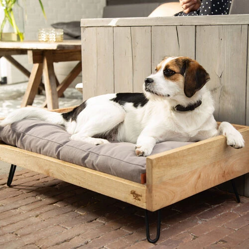 Designed by Lotte Hundebett Turana Designed By Lotte Hundebett Turana -Heimtierbedarf designed by lotte ligmand turana 170029 0500 none