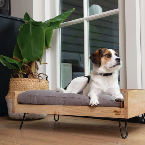 Designed by Lotte Hundebett Turana Designed By Lotte Hundebett Turana -Heimtierbedarf designed by lotte ligmand turana 170032 0500 none