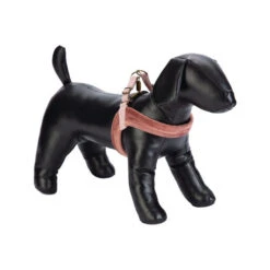 Designed By Lotte Velura - Hundegeschirr -Heimtierbedarf designed by lotte velura hondentuigje 199607 0500 none
