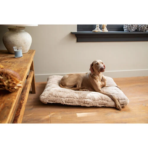 Designed by Lotte Xanti Hundekissen Designed By Lotte Xanti Hundekissen -Heimtierbedarf