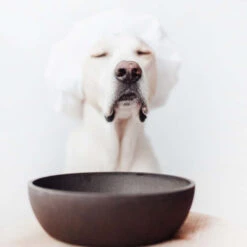 District 70 Bamboo Hundenapf 3 District 70 Bamboo Hundenapf -Heimtierbedarf district 70 bamboo voerbak voor honden 207695 0500 none