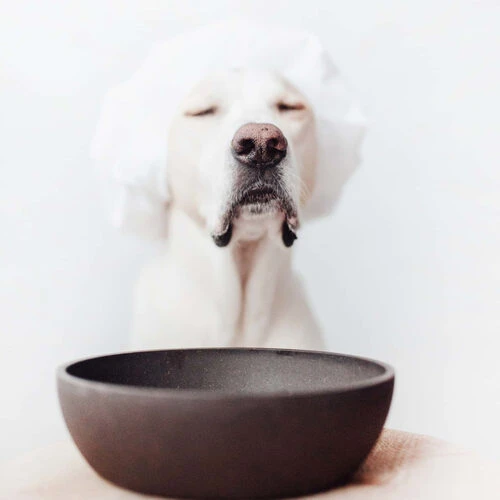 District 70 Bamboo Hundenapf District 70 Bamboo Hundenapf -Heimtierbedarf district 70 bamboo voerbak voor honden 207695 0500 none