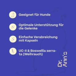 Dr. Ann's Mobility Support Advanced -Heimtierbedarf dr anns mobility support advanced 213137 0500 none