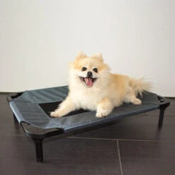 Duvo+ Hundeliege Relax -Heimtierbedarf duvo hondenstretcher relax 199796 0500 none