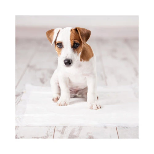 Duvo+ Puppy Pads Fresh Grass Duvo+ Puppy Pads Fresh Grass -Heimtierbedarf duvo puppy pads fresh grass 144464 0500 none