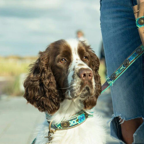 DWAM Halsband Boho Juan DWAM Halsband Boho Juan -Heimtierbedarf dwam halsband boho juan 133658 0500 none