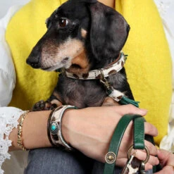 DWAM Halsband Ivy -Heimtierbedarf dwam halsband ivy 180688 0500 none