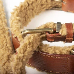 DWAM Halsband Teddy -Heimtierbedarf dwam halsband teddy 189206 0500 none