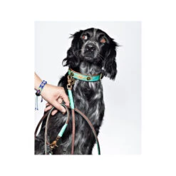 DWAM Hundeleine Johnny Cash -Heimtierbedarf dwam hondenriem johnny cash 162814 0500 none