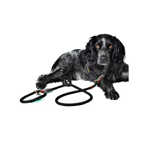 DWAM Hundeleine Long John DWAM Hundeleine Long John -Heimtierbedarf dwam hondenriem long john 166357 0500 none