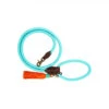 DWAM Hundeleine Türkis -Heimtierbedarf dwam hondenriem turquoise 179857 0500 none
