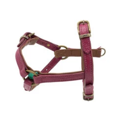 DWAM Hundegeschirr Lou Lou -Heimtierbedarf dwam hondentuigje lou lou 182155 0500 none