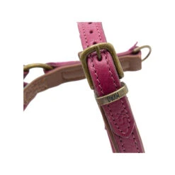 DWAM Hundegeschirr Lou Lou -Heimtierbedarf dwam hondentuigje lou lou 182158 0500 none