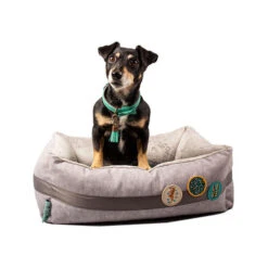 DWAM Jungle Love Korb -Heimtierbedarf dwam jungle love mand 186595 0500 none