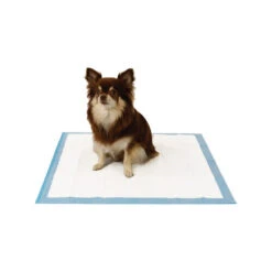 Easypets Trainingpads 5 Easypets Trainingpads -Heimtierbedarf easypets trainingspads 184186 0500 none