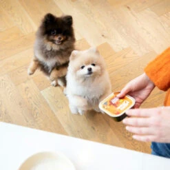 Edgard & Cooper Adult - Huhn & Truthahn - Im Schälchen -Heimtierbedarf edgard cooper adult kip kalkoen kuipje 168597 0500 none