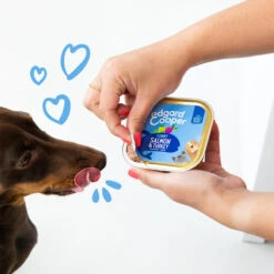 Edgard & Cooper Adult - Lachs Und Truthahn - Schale 4 Edgard & Cooper Adult - Lachs Und Truthahn - Schale -Heimtierbedarf edgard cooper adult zalm kalkoen kuipje 208616 0500 none